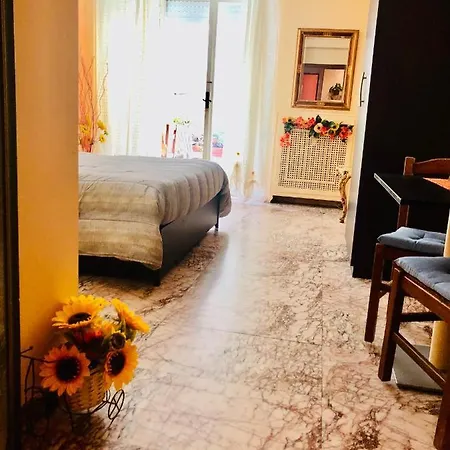Selene Guest house *